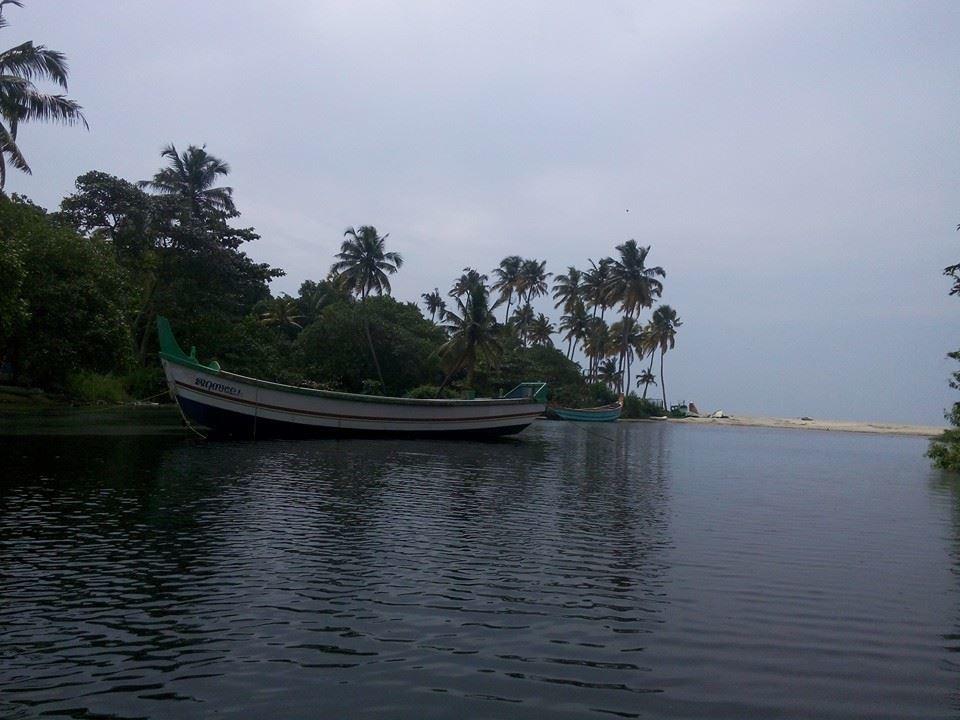 Marari Secret Beach Yoga Homestay Mararikulam Ngoại thất bức ảnh
