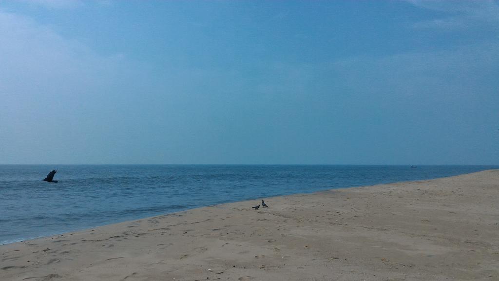 Marari Secret Beach Yoga Homestay Mararikulam Ngoại thất bức ảnh